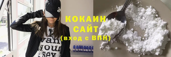 гидра Абаза