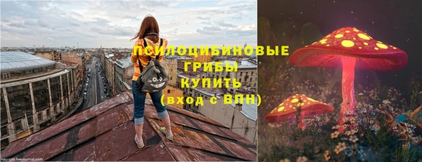 гидра Абаза