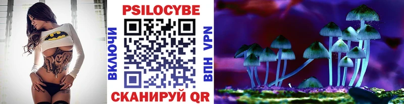 mega ссылки  Хасавюрт  Псилоцибиновые грибы Psilocybe 